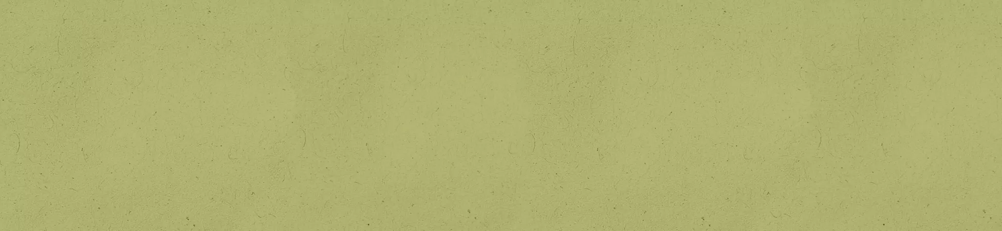 Fondo de color beige