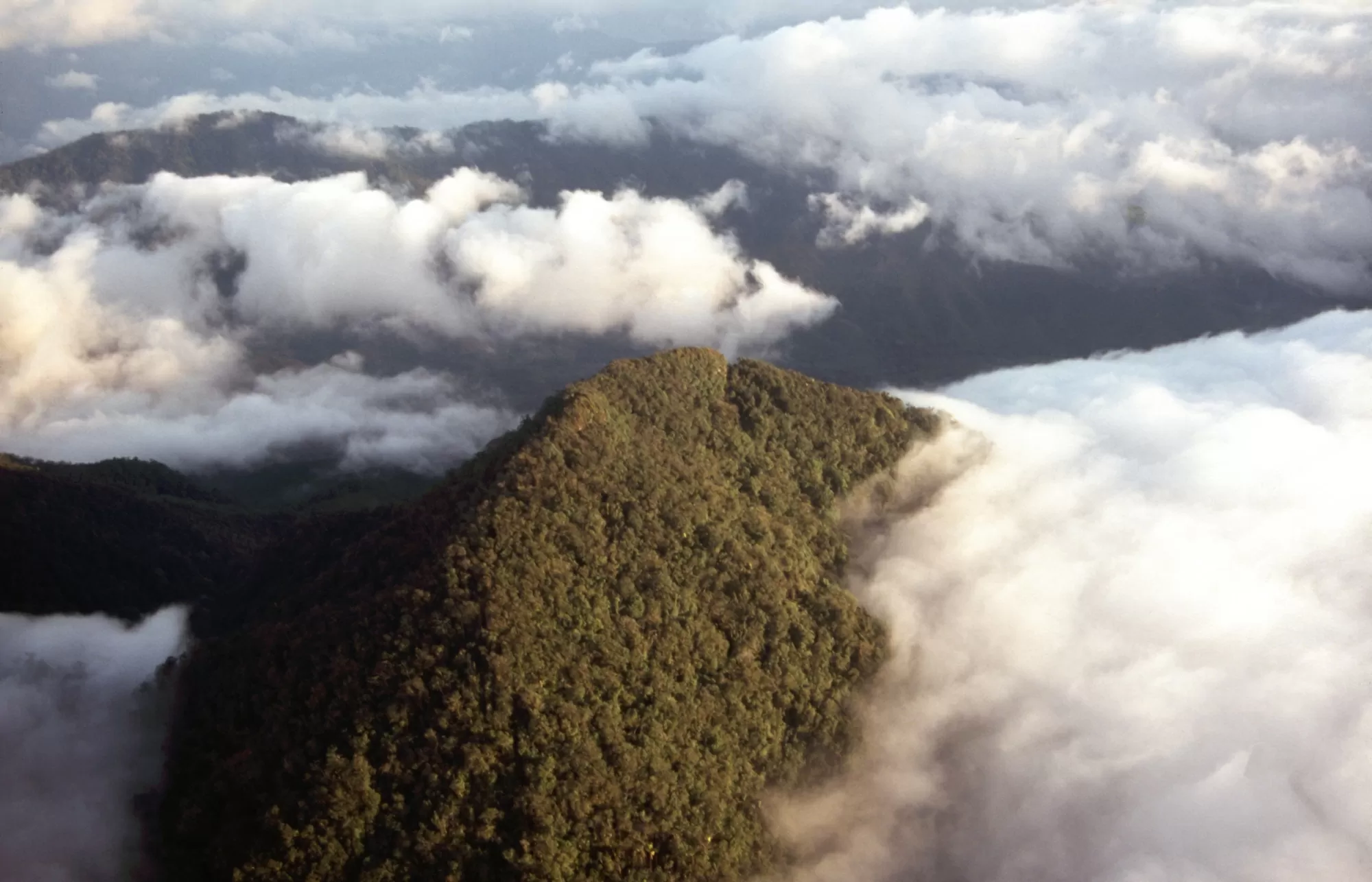 Vista aérea de la cuenca del Buritaca 