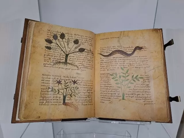 Herbolarium et materia medica: (ms. 296)