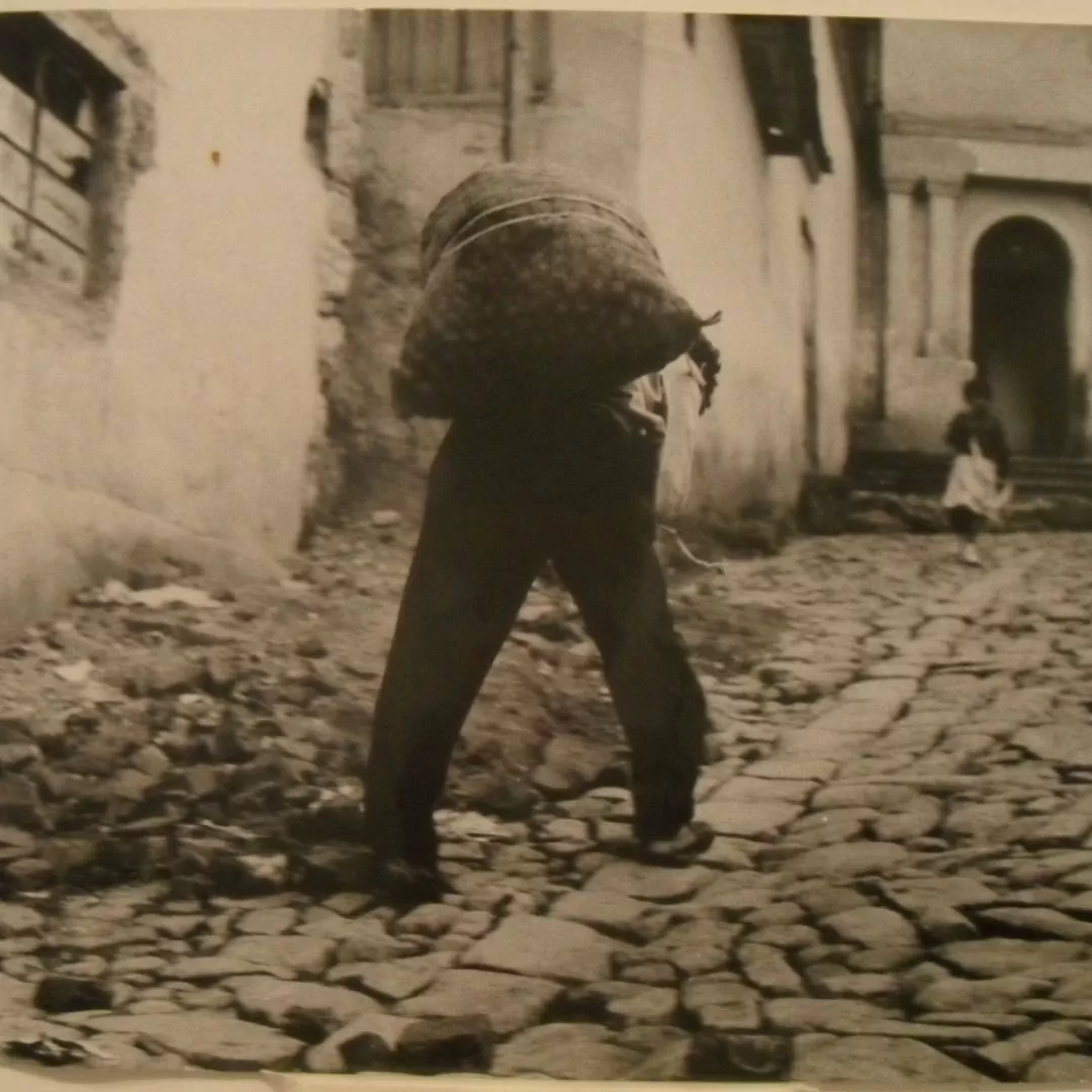 Hombre cargando papa. Bogota - Fotografía AP6134