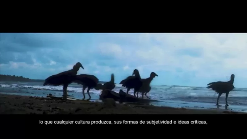 Hombre que devora al hombre - Del Proyecto Tierra de gallinazos (Cocreación con Lorenzo Tunubalá Hurtado y de Eyder Calambás) 2020 - 2021 Video (3 minutos 52 segundos) - AP7257