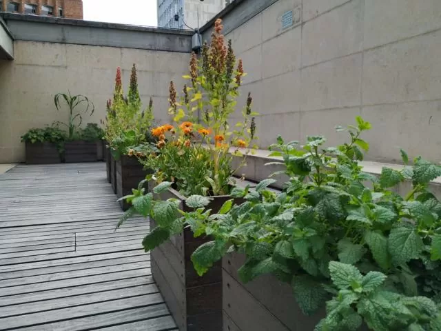 Huerta Museo del Oro