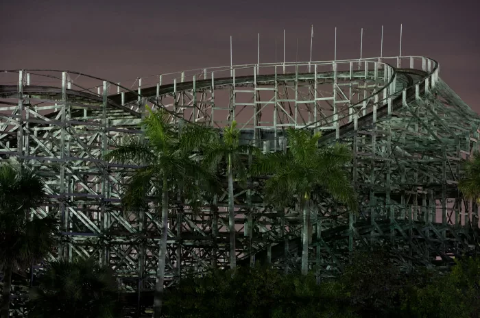 Palmeras, de la serie Huracán, 2014. Impresión Inkjet. Juan Fernando Herrán Palmeras, de la serie Huracán, 2014.