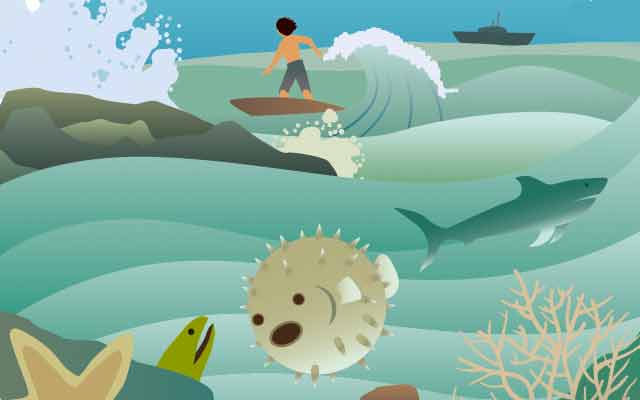 Ilustración del mar y sus especies