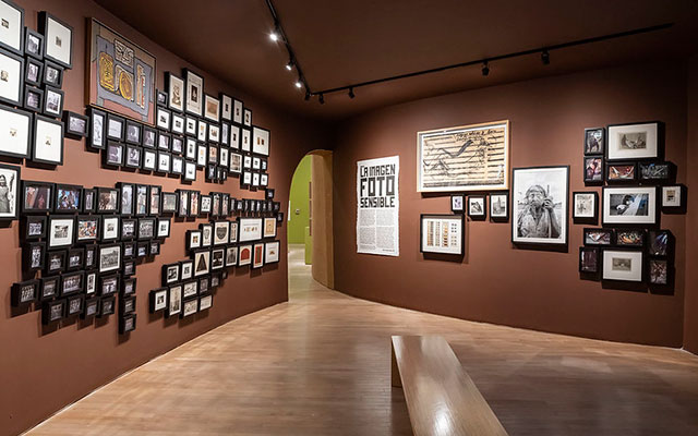 La imagen fotosensible en Sembrar la duda