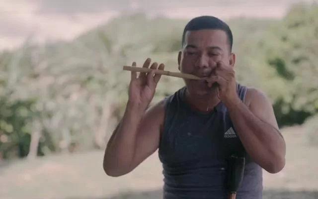 Estudiar los instrumentos y escuchar las aves