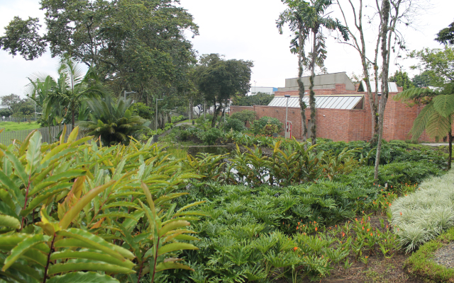 Jardín del agua, la textura y el color