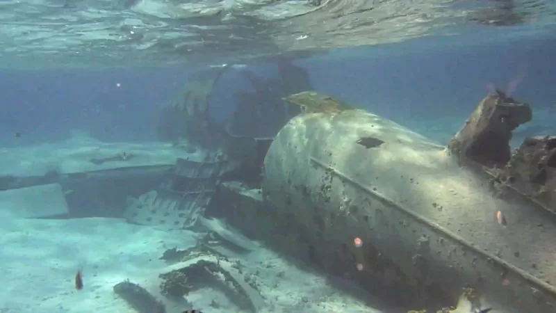 Ana María Millán. La balada de Carlos Lehder 2012. Video 3 canales, sonido, 5’07’’ 4’06’’ 5’31’’ - AP6247