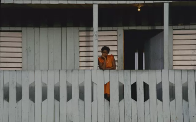 Vaquería. 1984. Diapositiva Número topográfico: FT2604. Alberto Saldarriaga Roa. 