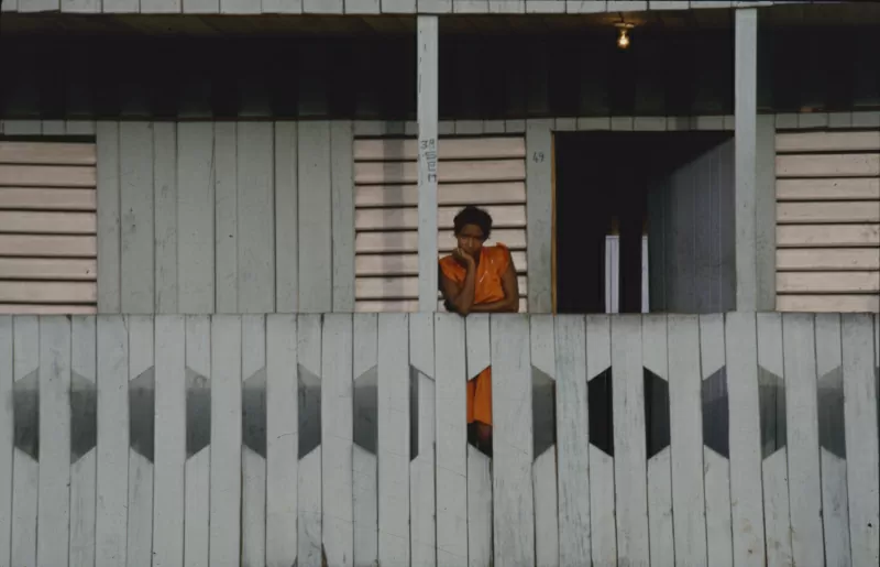 Vaquería. 1984. Diapositiva Número topográfico: FT2604. Alberto Saldarriaga Roa. Vaquería. 1984. Diapositiva Número topográfico: FT2604. Alberto Saldarriaga Roa.