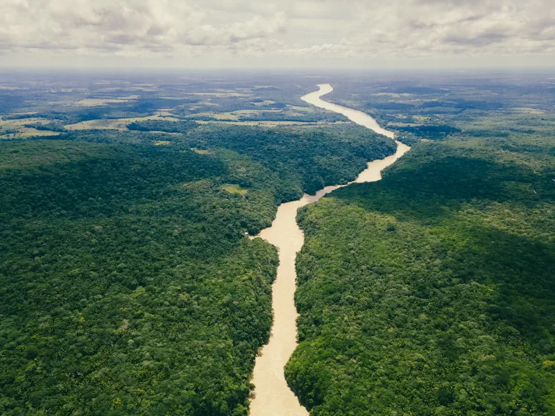 Amazonía colombiana