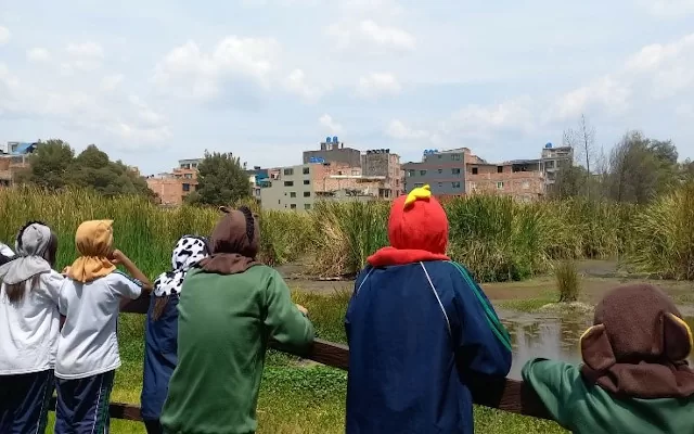 Taller en el humedal Techo de la herramienta: No estamos solos. La paz también se hace con los animales