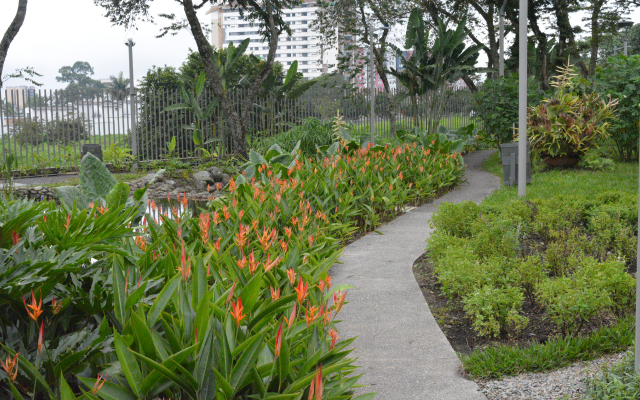 Lago y jardínes del Museo del Oro Quimbaya - Centro Cultural Armenia. Gloria González.