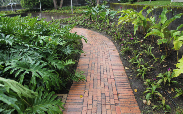 Lago y jardines del Museo del Oro Quimbaya Centro Cultural de Armenia.