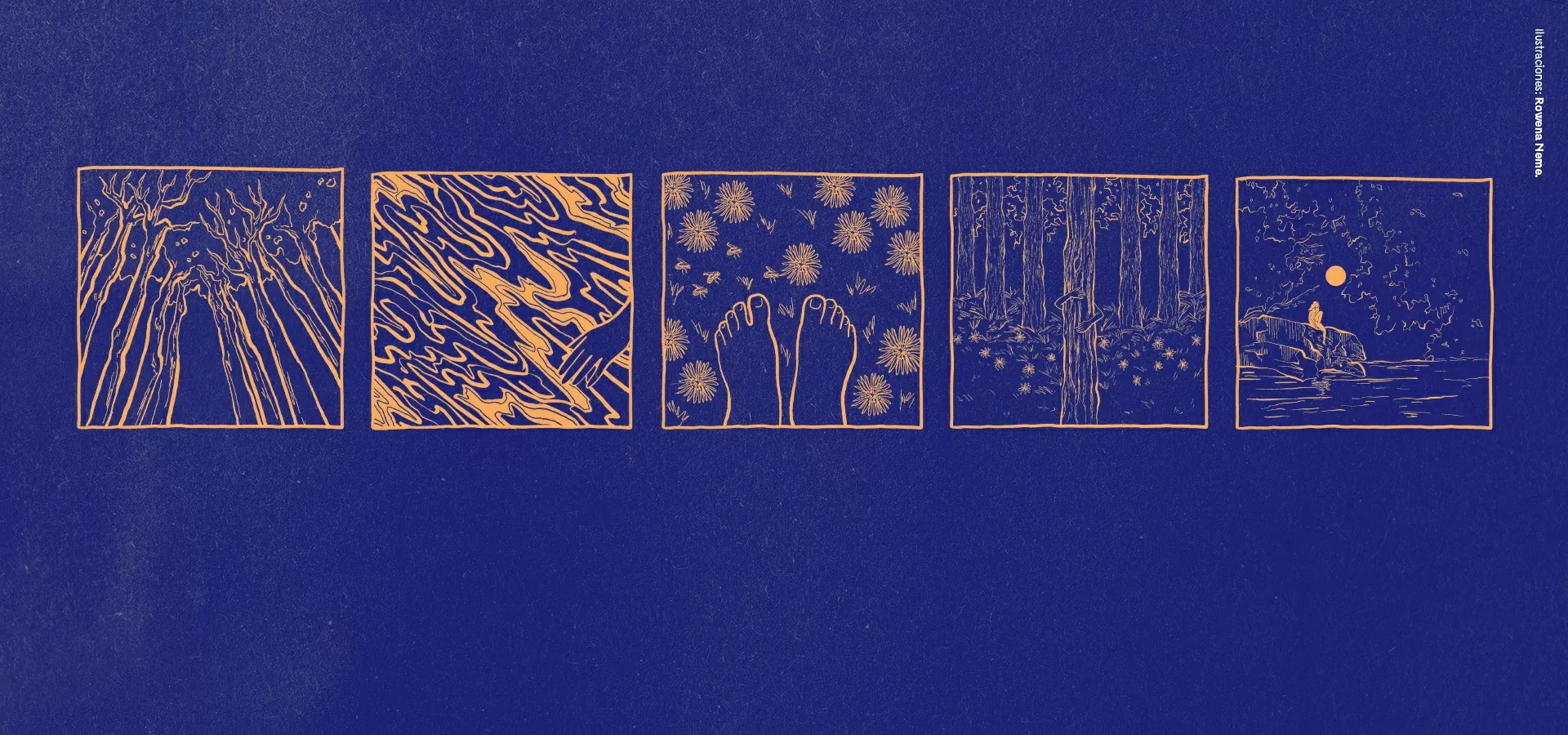 Encuentro de Lenguas Nativas en la BLAA.