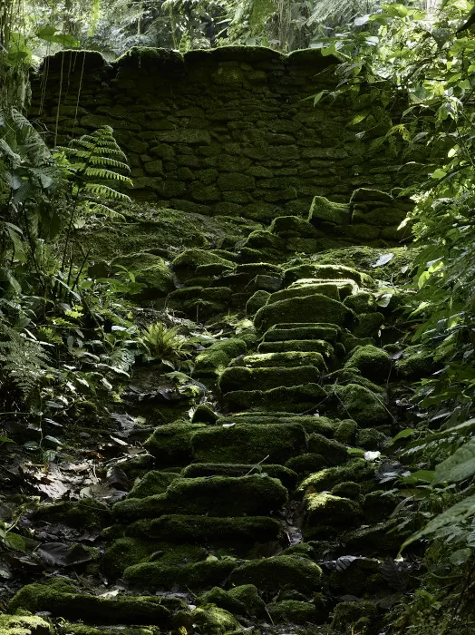 Ascención, de la serie Leve y emergente, 2020