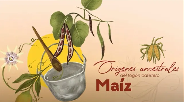 Miniatura Video fogón cafetero maíz