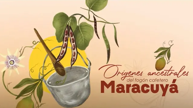 Miniatura Video fogón cafetero maracuyá
