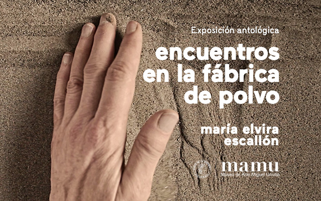 Encuentros en la fábrica de polvo, muestra antológica de María Elvira Escallón.