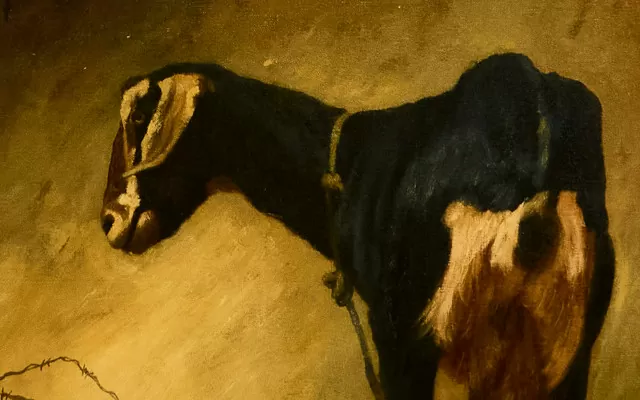 De la serie Catarsis. Miguel Escobar. Pintura Óleo sobre tela. Exposición Miradas. Notas a partir de la colección del Museo de Arte de Caldas. 