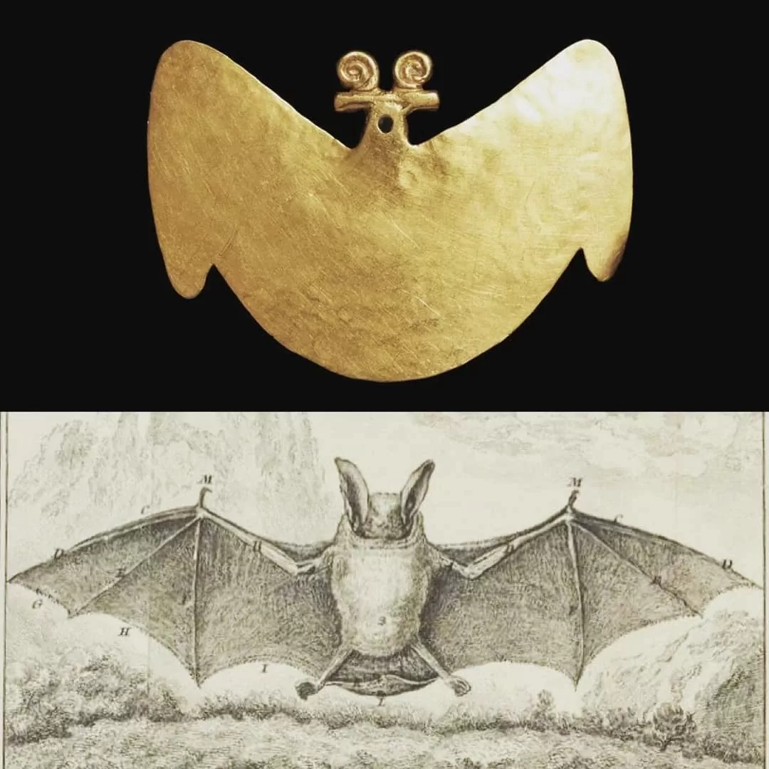 Colgante de orejera en forma de murciélago. Oro a la cera perdida, Región Tolima y Muerciélagos en aguafuerte Historia Natural 