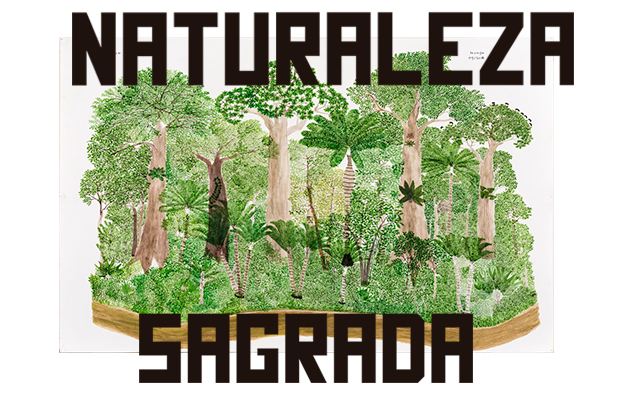 Naturaleza sagrada en texto con una pintura de los ciclos de la selva de Abel Rodríguez