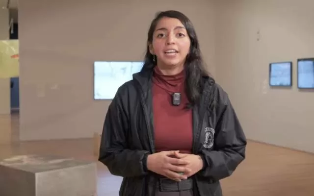 Obra comentada: Dammed Landscape