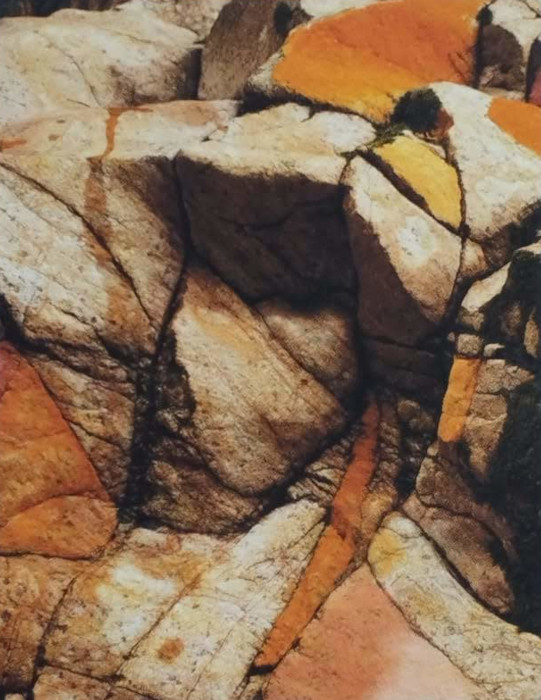 Ejercicios de performance realizado por los participantes en el taller "A la deriva" de Óscar Leone