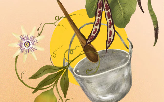 Orígenes ancestrales del fogón cafetero