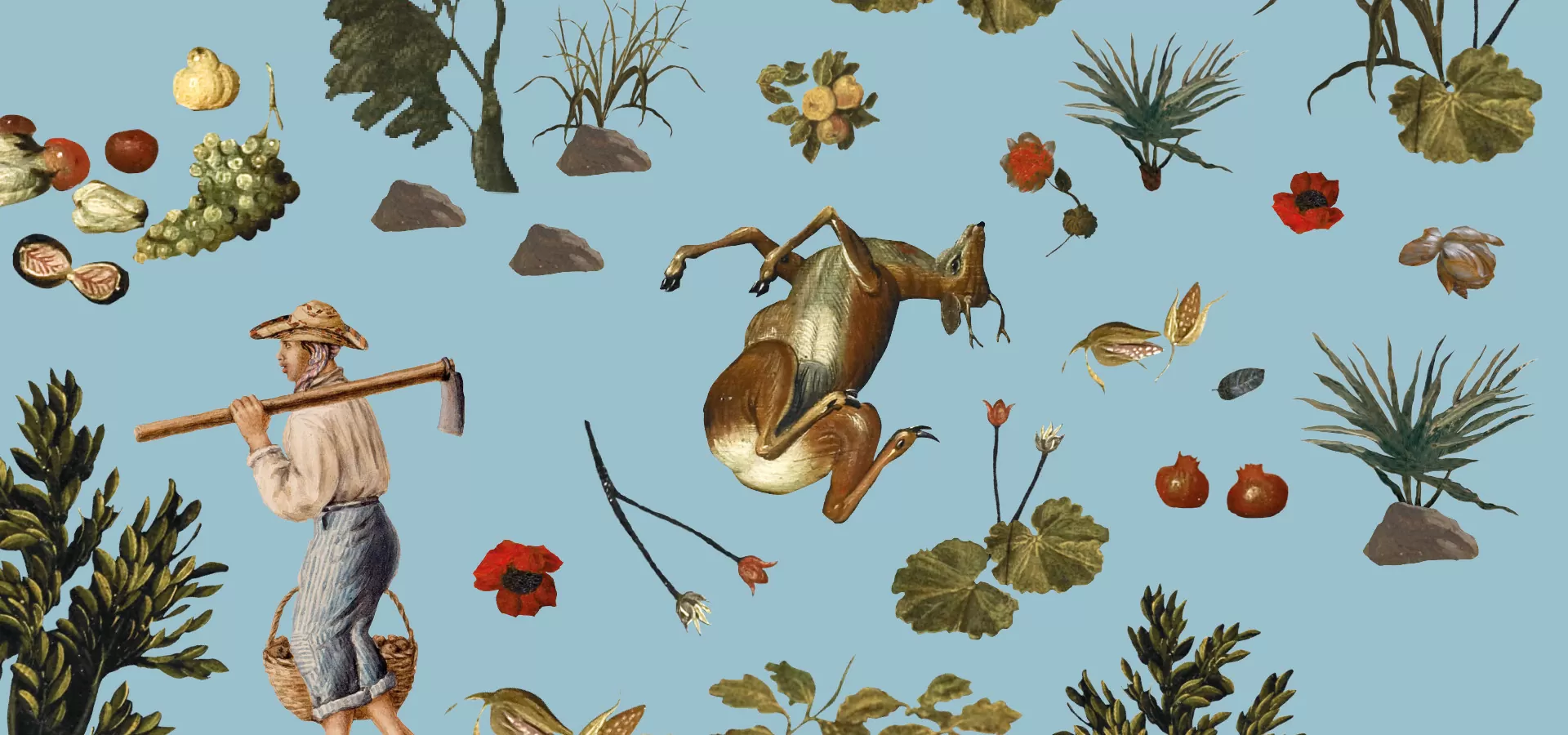 Paraísos y jardines: La naturaleza representada. Colección de Arte del Banco de la República