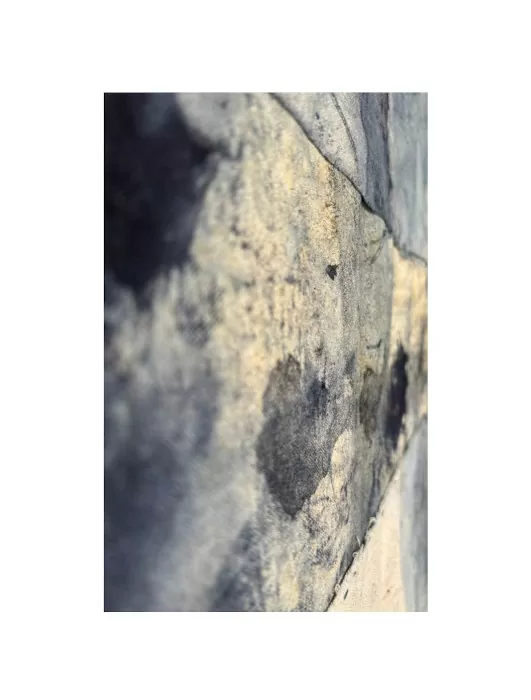 Añil 1,2,3,4. Carolina Muñoz Ceballos