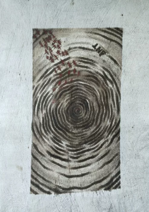 Hormiga Amazónica. Héctor Antonio Ríos Galán&nbsp; 