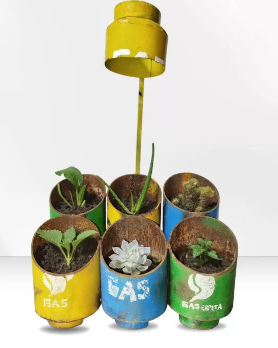 Las siembreas que no siembran. Daniel Rojas