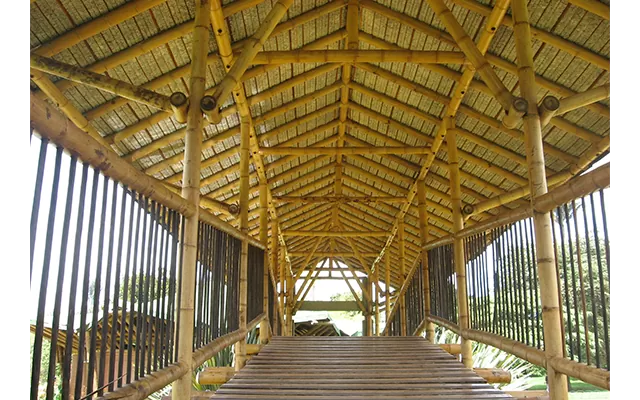 Puente de Guadua