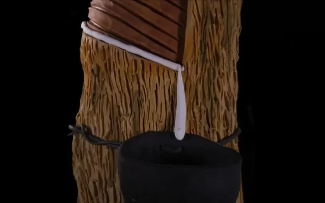 Los saberes de la gente del Río Amazonas: El siringuero