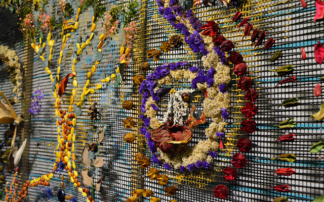 Sanaduría: mediaciones para tejer sentidos plurales de la paz