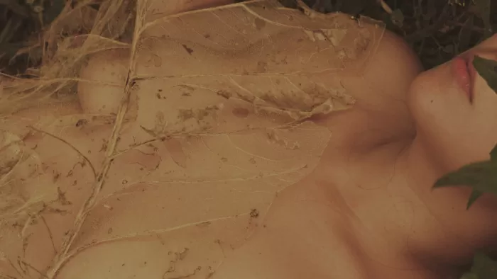 Compostando. Karen Moya Compostando. Karen Moya