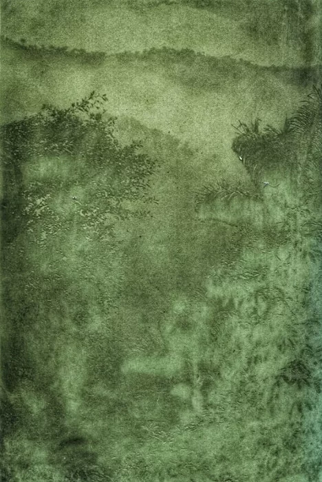 Guacas. Nicolás Cifuentes Guacas. Nicolás Cifuentes