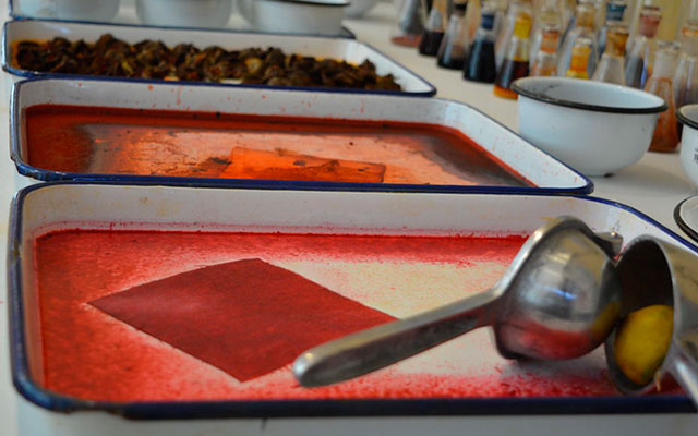 Sembrar la duda en el MAMU