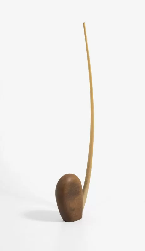 Semilla&nbsp;2003. Teresa Sánchez. Madera marfil y cedro de Puerto Asís&nbsp;- AP7316