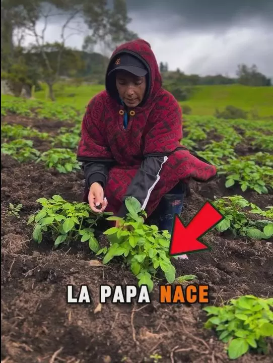 Día internacional de la Conservación del suelo