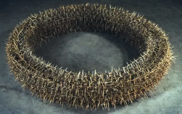 Sin título (corona de espinas)