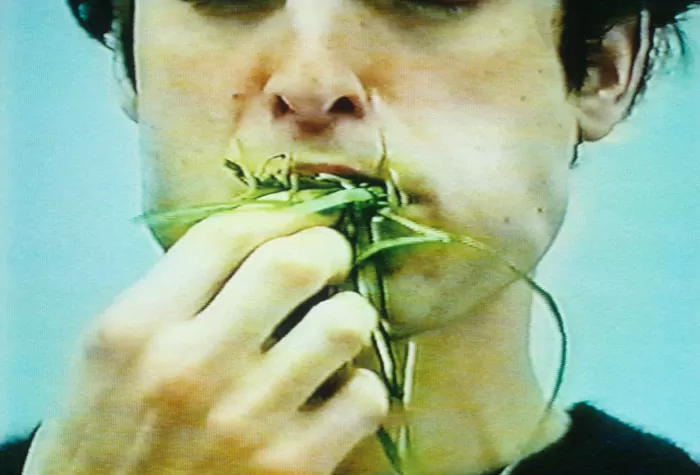 Sin título (Pasto), 1993. Video