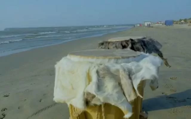 El tambor como raíz de la afrocolombianidad