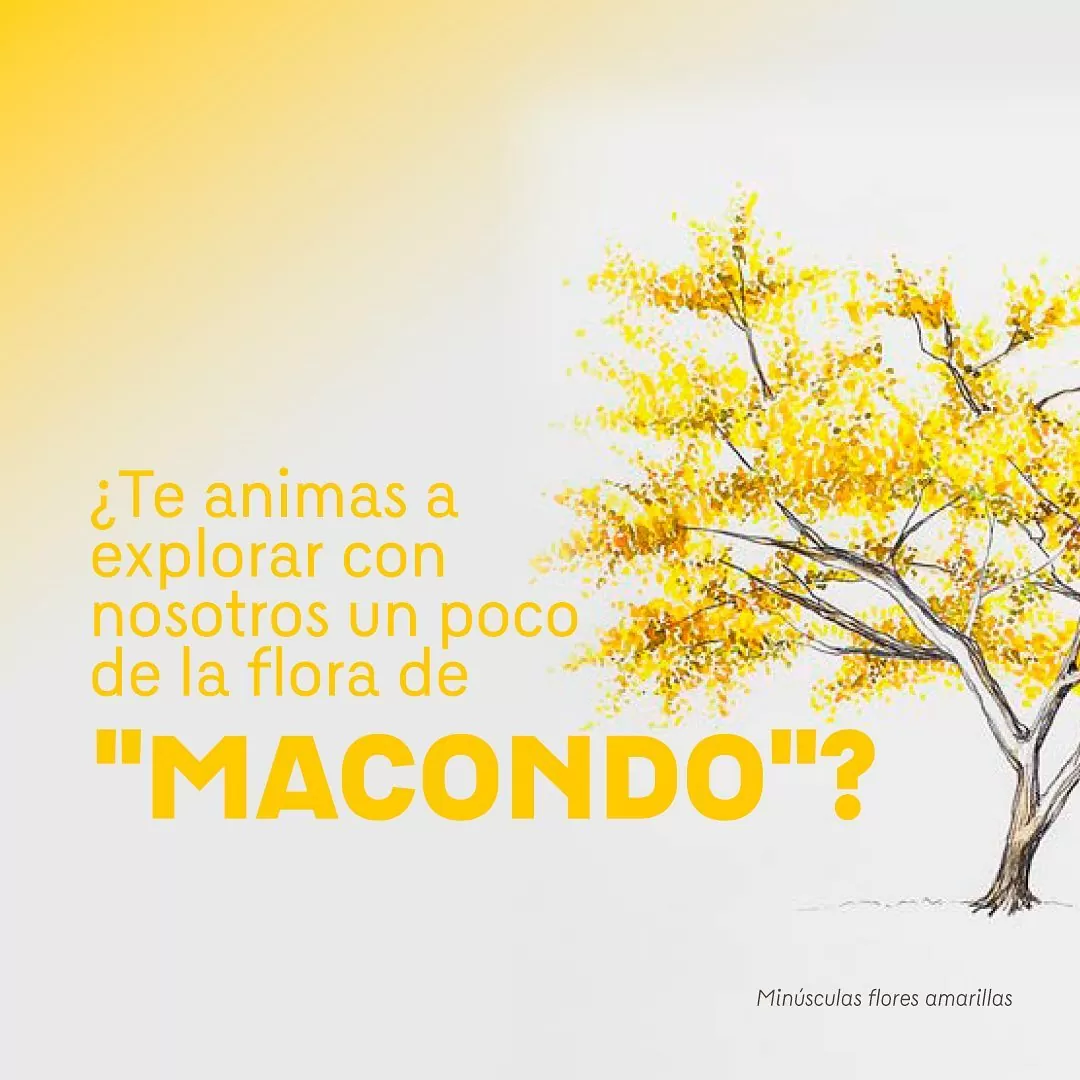 ¿Te animas a explorar con nosotros un poco de la flora de Macondo?