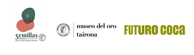 Logo Semillas +  Museo del Oro Tairona + Futuro Coca