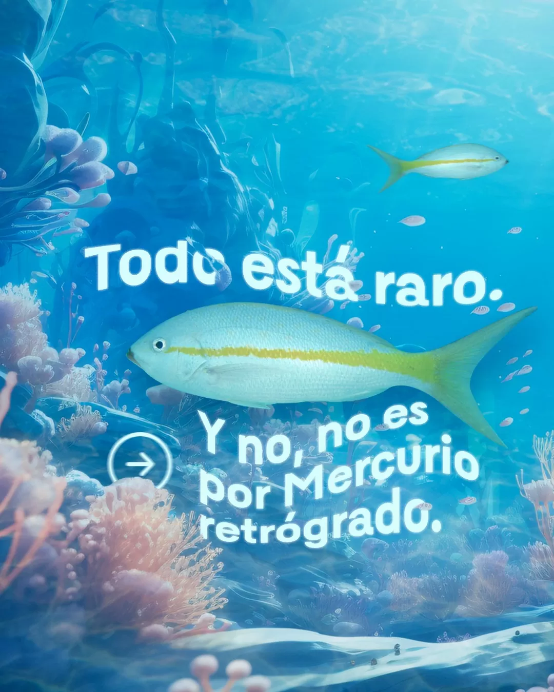 Todo está rato. Recurso electrónico Ambientalex