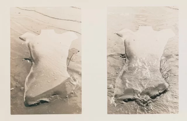 Torsos 1, 2 y 3. Eduardo Hernández. Fotografía. Ampliación análoga de época en gelatina de plata 1978