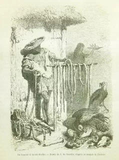 Charles Saffray, Un carnicero en Santa Marta