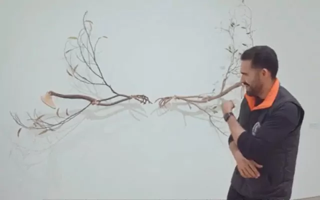 Visita guiada en lengua de señas por la exposición 'Encuentros en la fábrica de polvo'